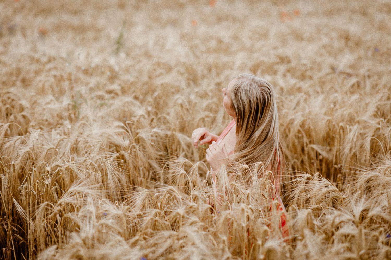 A person stands among rippling golden wheat stalks in a vast agricultural field during sunset.