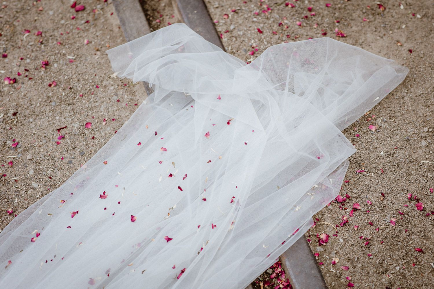 White wedding dress train with scattered red rose petals on concrete floor.