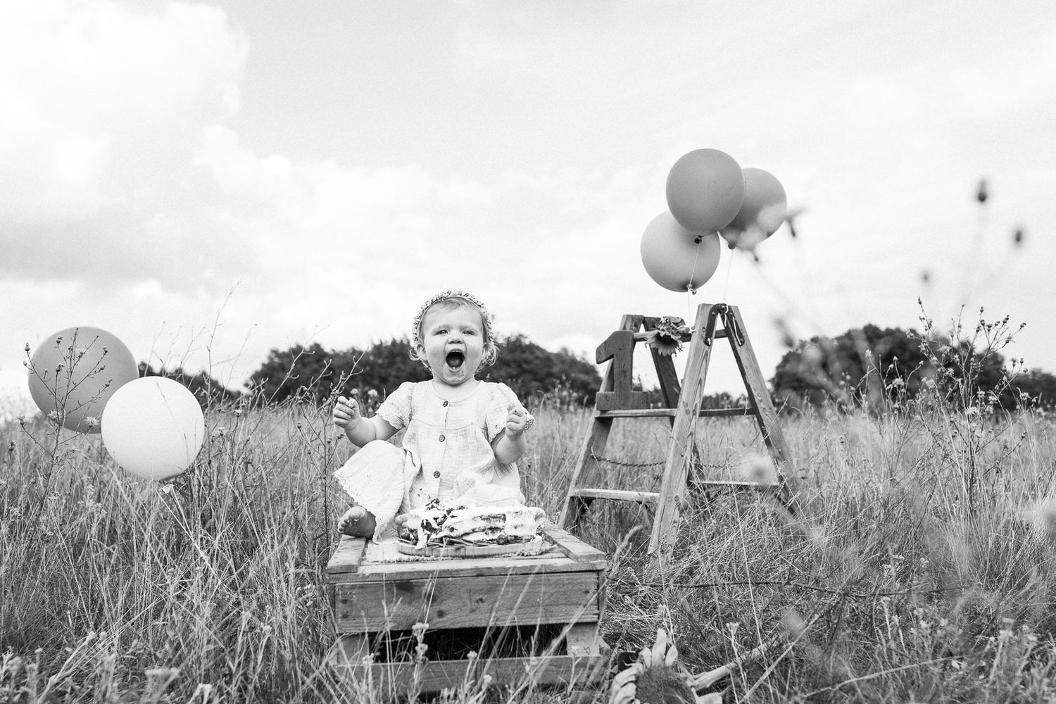 Black and white photo of festive scene with wooden ladder, balloons and crate in meadow.
