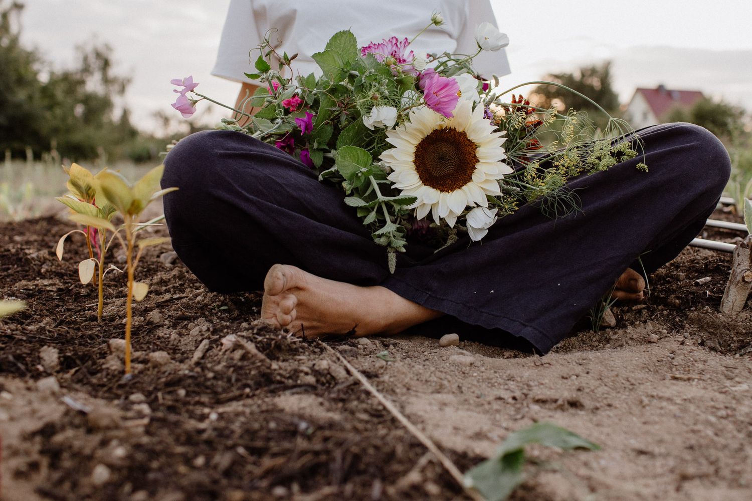 Fresh flowers lying scattered on soil ground with artistic arrangement.
