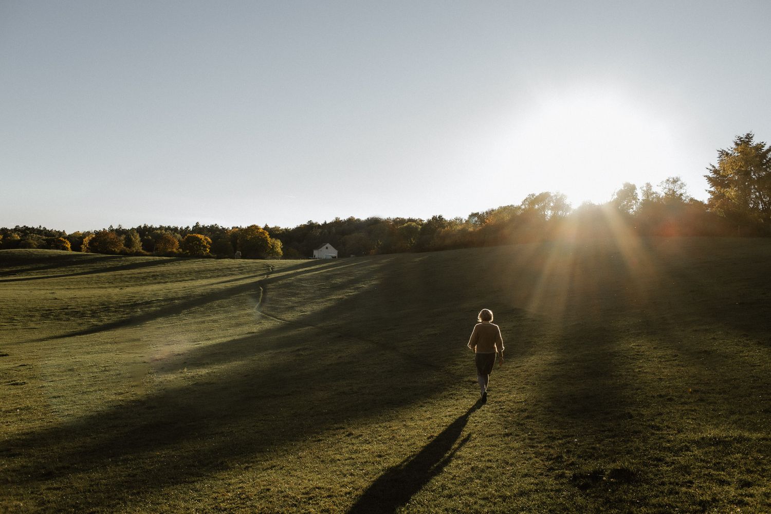 Person walking on a grassy hill during golden hour with long shadows.
