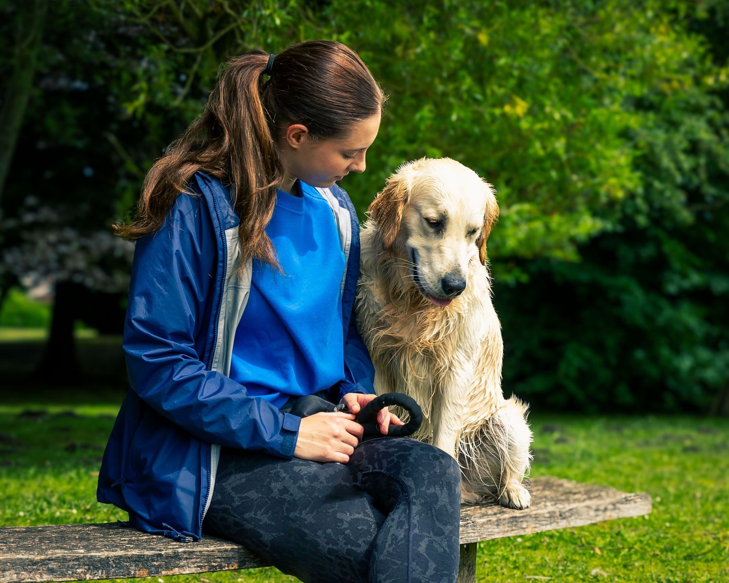Dog and person sitting together on grass in a park during a sunny day.