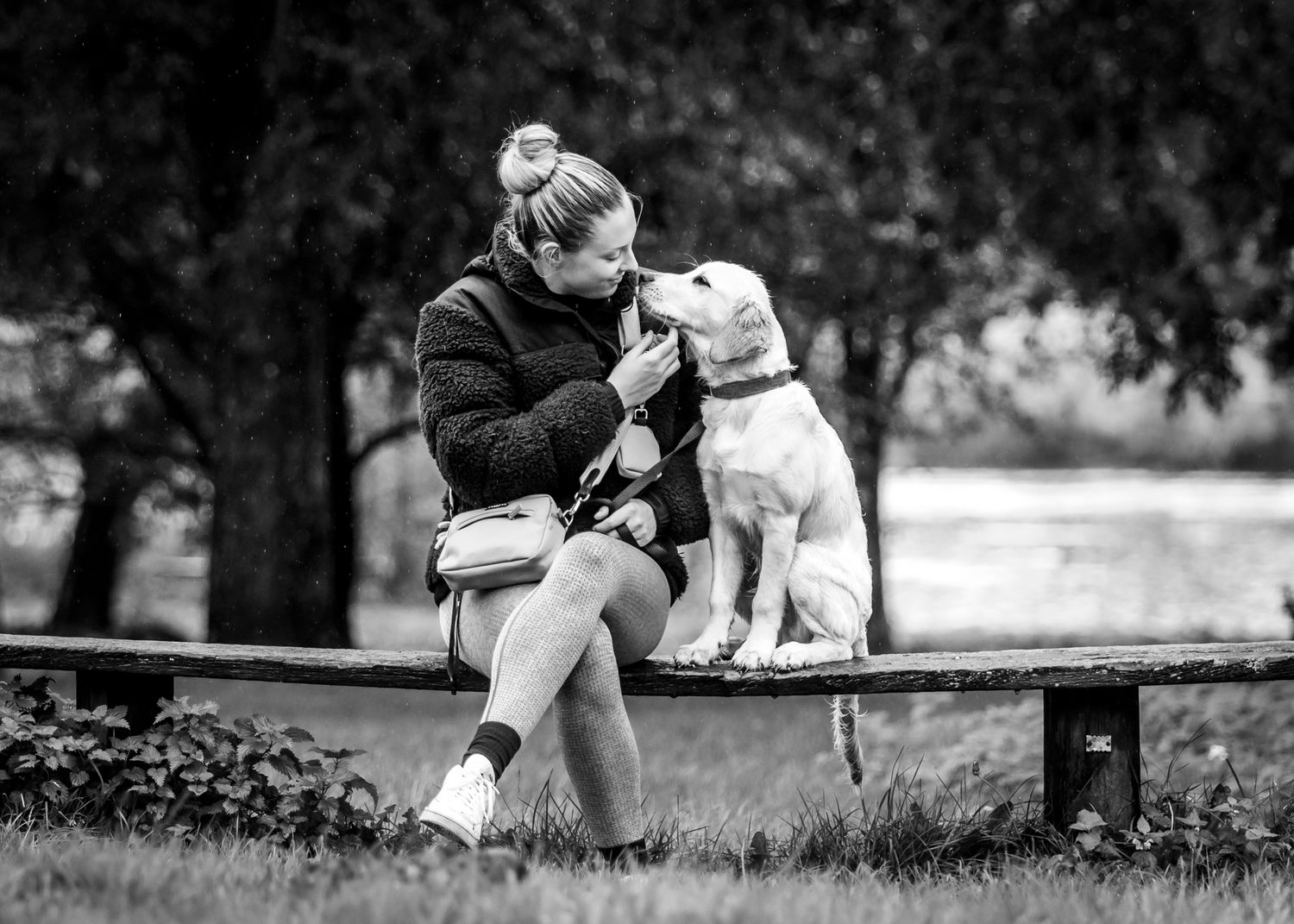 Lab and companion share quiet moment together on wooden park bench.