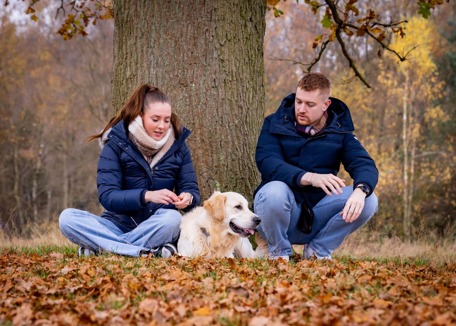 Golden retriever relaxing in fallen leaves with companions.