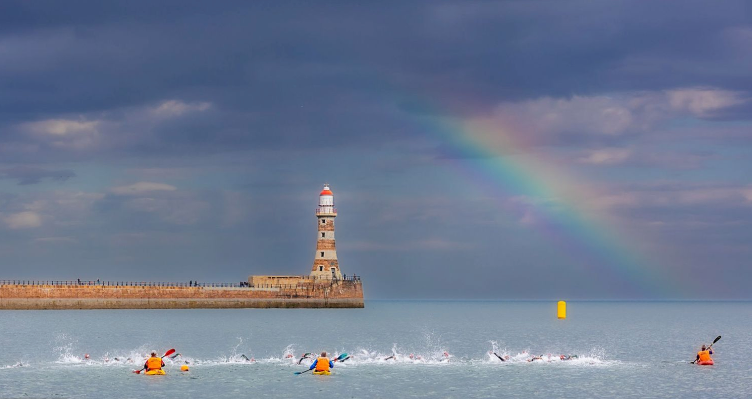 Swimmers racing in open water with lighthouse and rainbow visible in background.