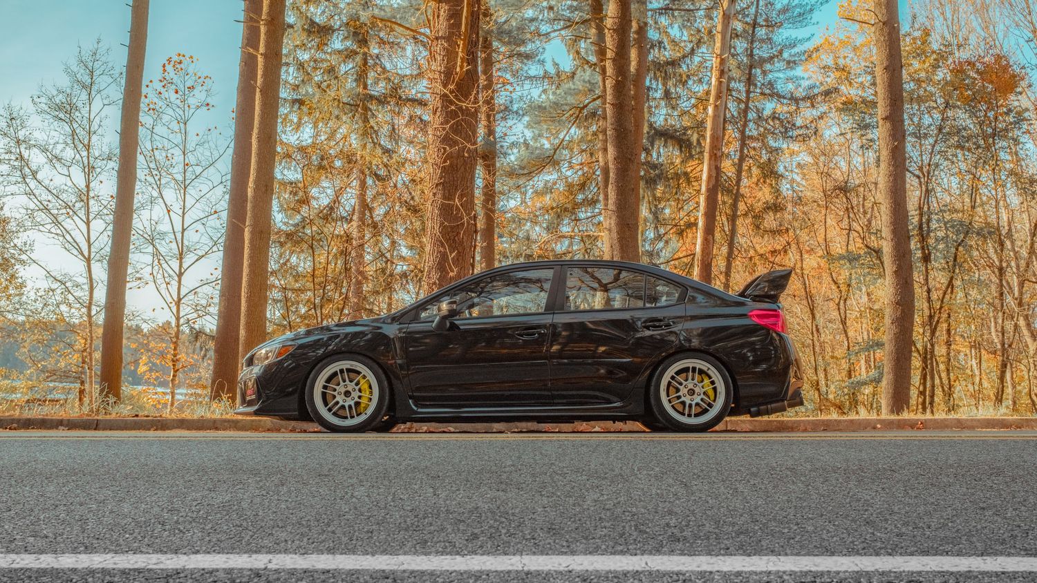 STI Loch Raven