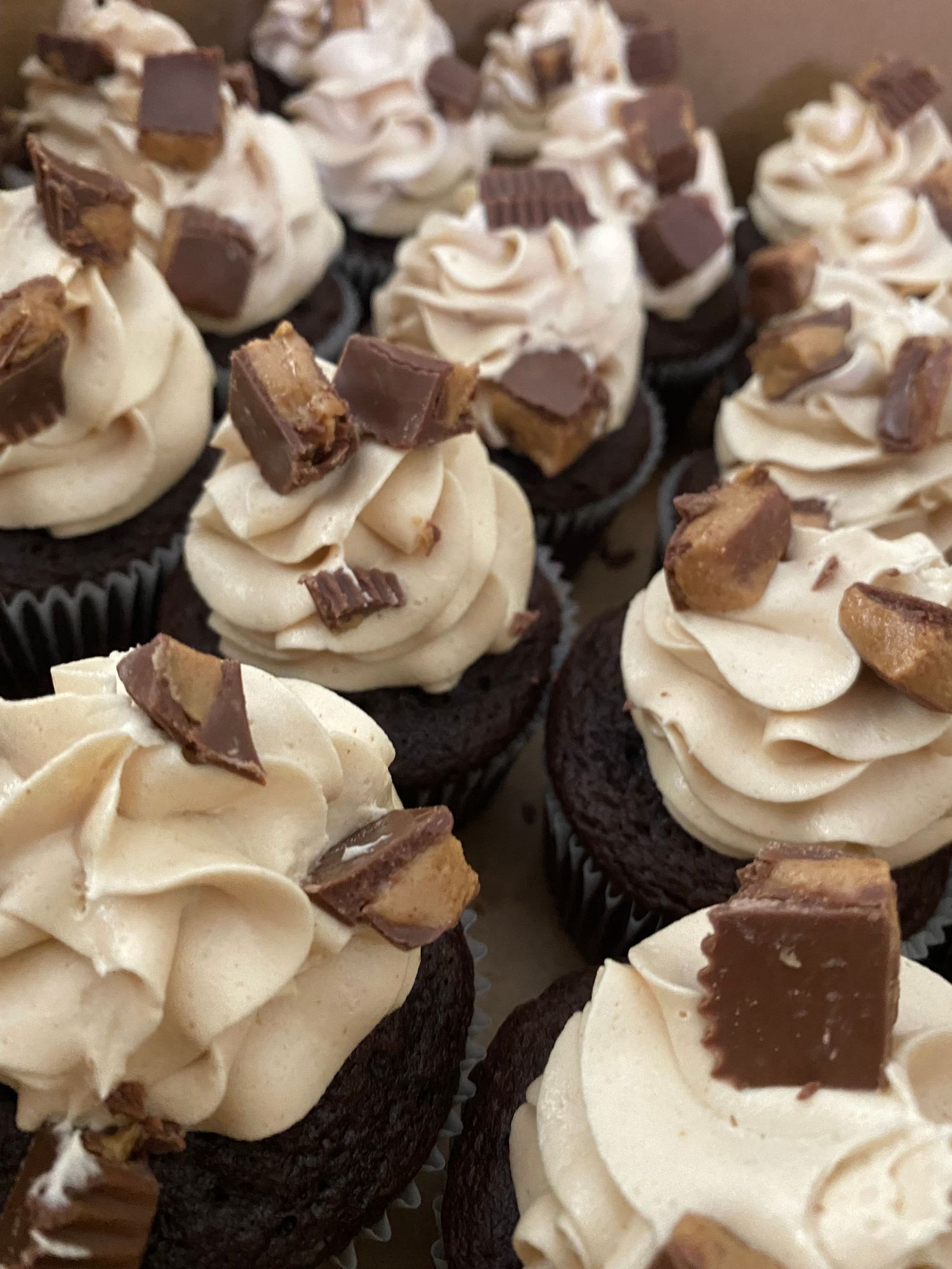 Chocolate cupcakes topped with swirled vanilla frosting and chocolate candy pieces.