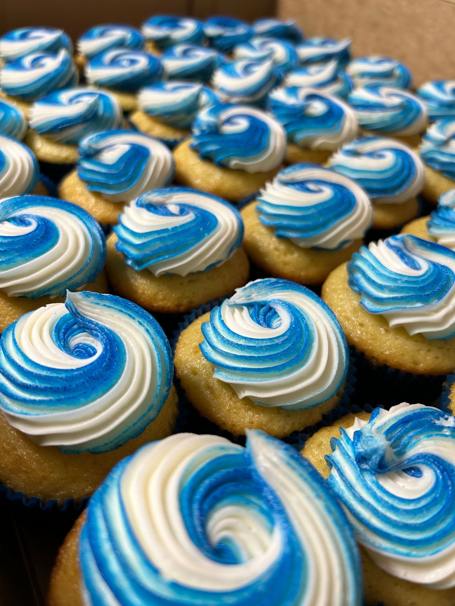Swirled blue and white frosted cupcakes arranged in neat rows on a brown surface.