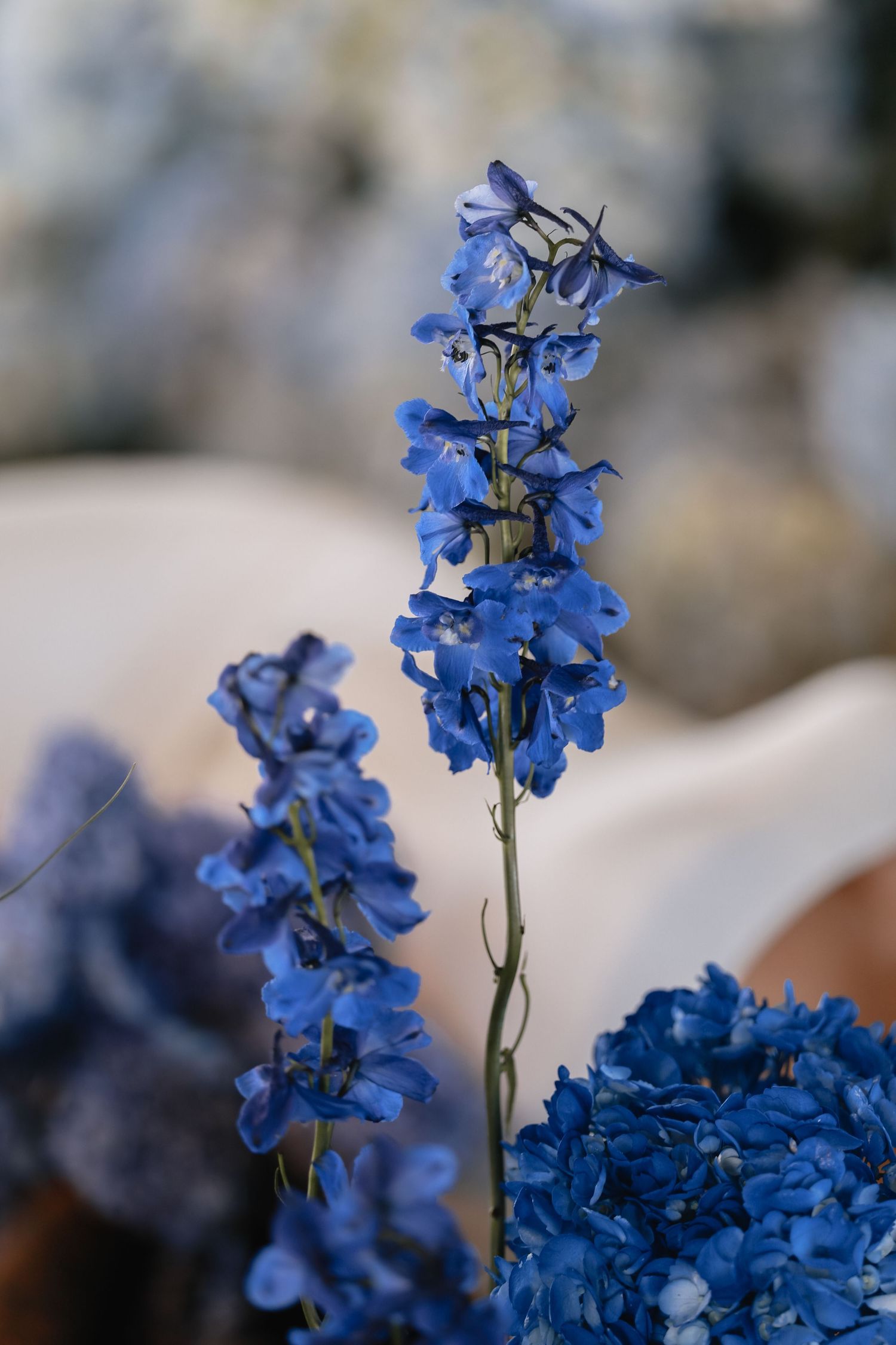 Blue Hour Editorial with The Mountain Aisle at Deet Flat Ranch in Nampa Idaho by Molly Vincent Photography luxury editorial blue wedding