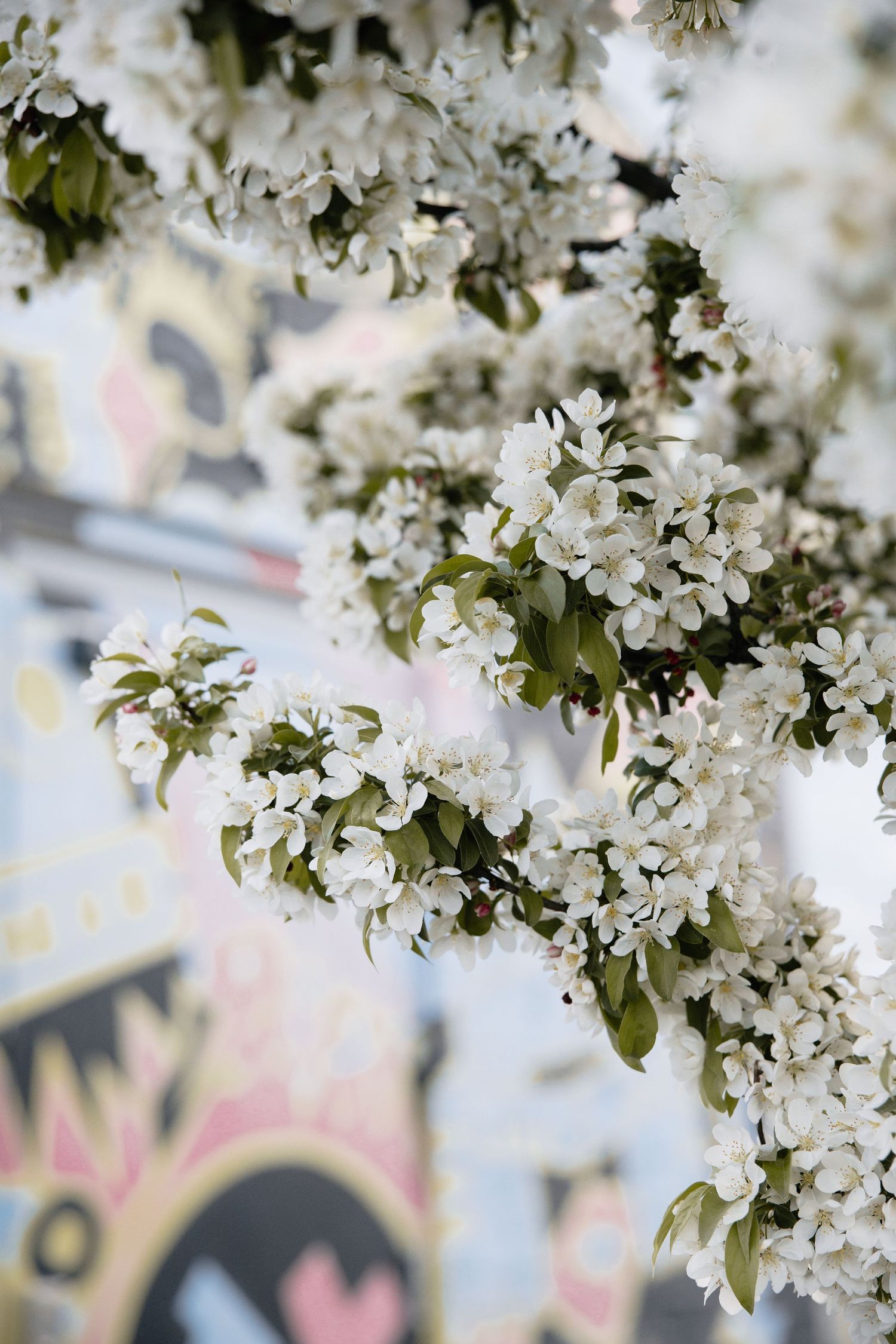 a vintage retro spring wedding at boise linen building by molly vincent photography idaho meridian nampa caldwell kuna