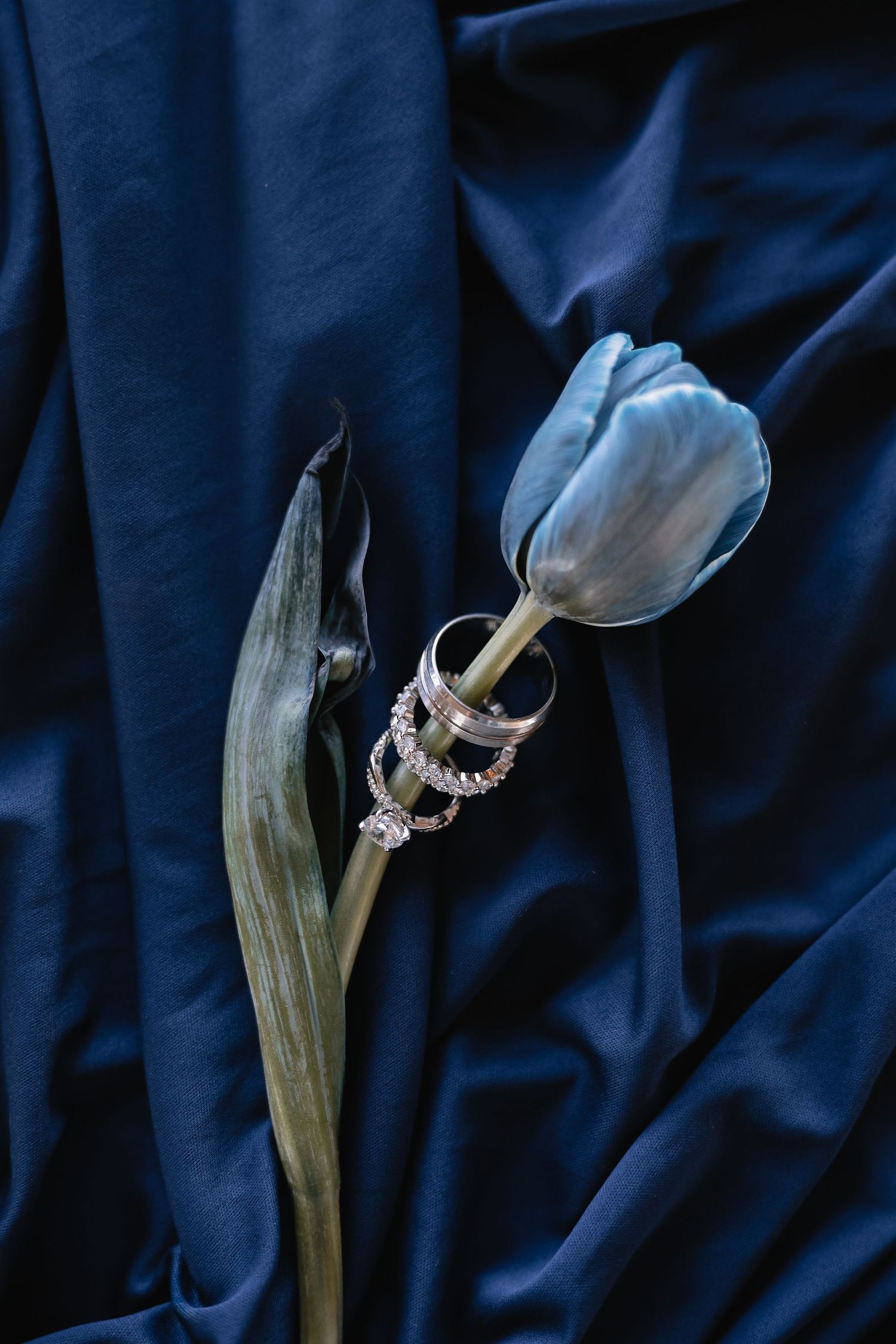 Blue Hour Editorial with The Mountain Aisle at Deet Flat Ranch in Nampa Idaho by Molly Vincent Photography luxury editorial blue wedding