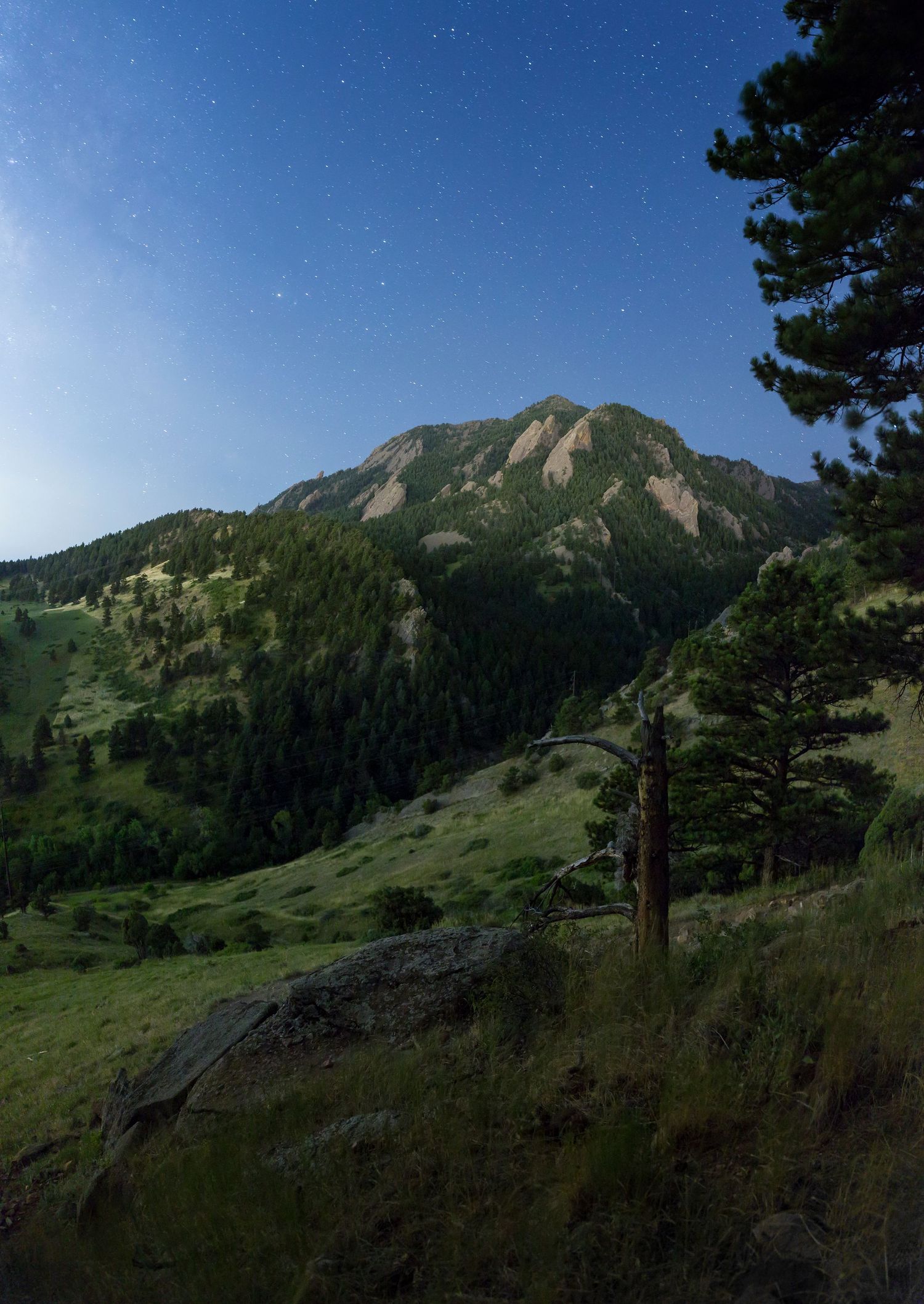 Majestic mountain peak under a starlit sky with pine trees in the foreground.