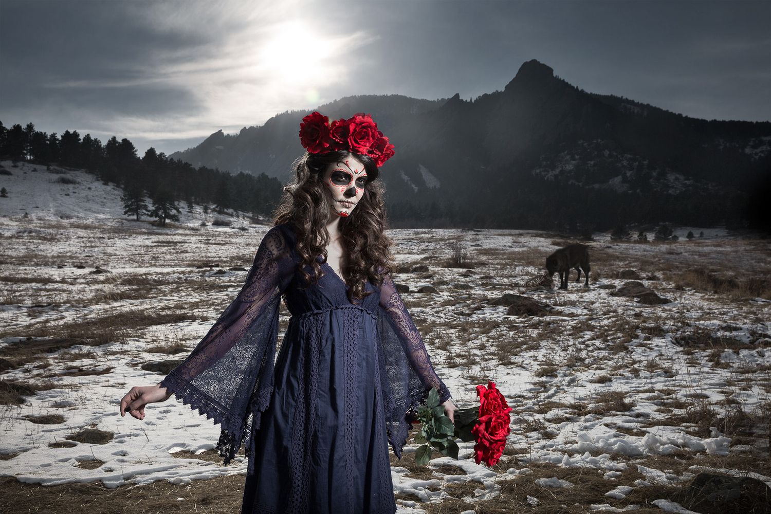 Gothic figure in dark dress posing with red flowers against dramatic snowy mountain landscape at sunset.