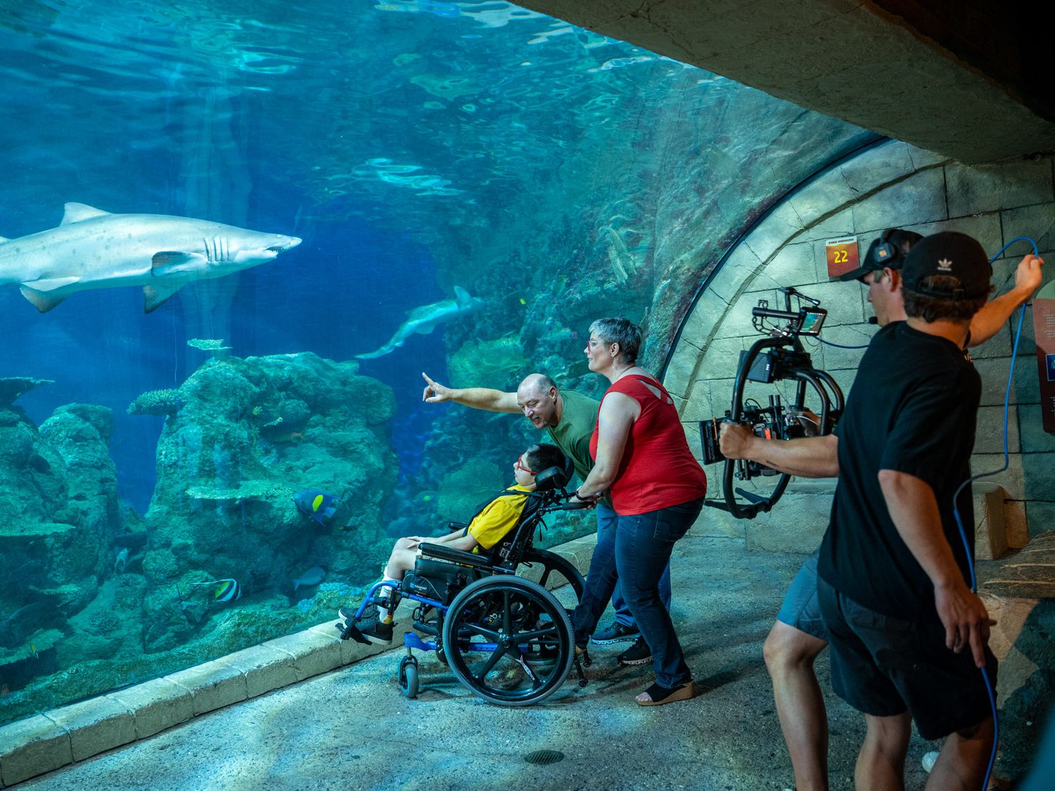 People filming underwater scenes through large aquarium windows with sharks swimming by.