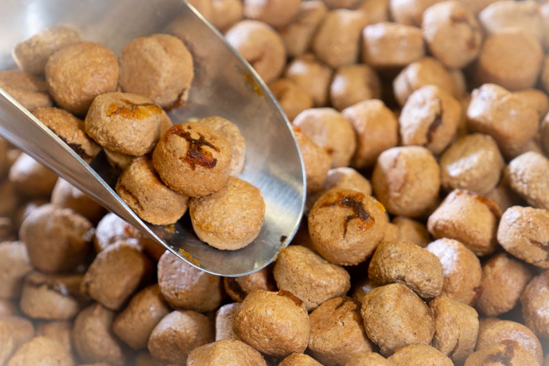Golden brown protein balls or energy bites arranged on a metal surface.