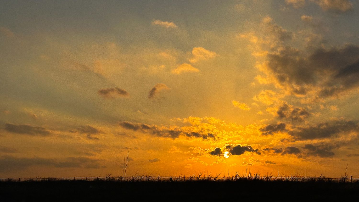 A dramatic sunset with golden clouds and silhouetted grass on the horizon casting vibrant orange light across the sky.