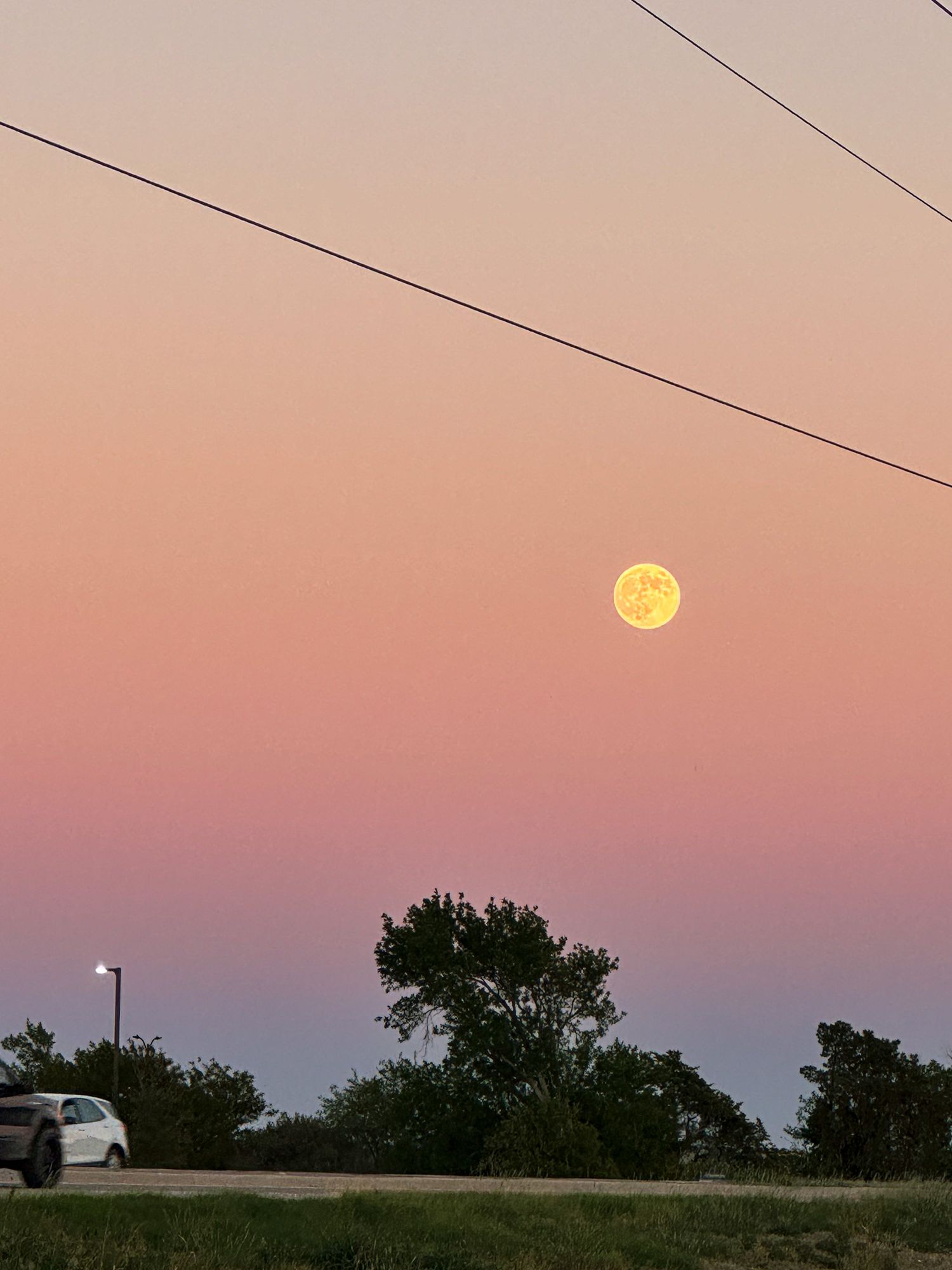 Full moon glows bright orange in a dusky pink sky above silhouetted trees and a parked car at sunset.