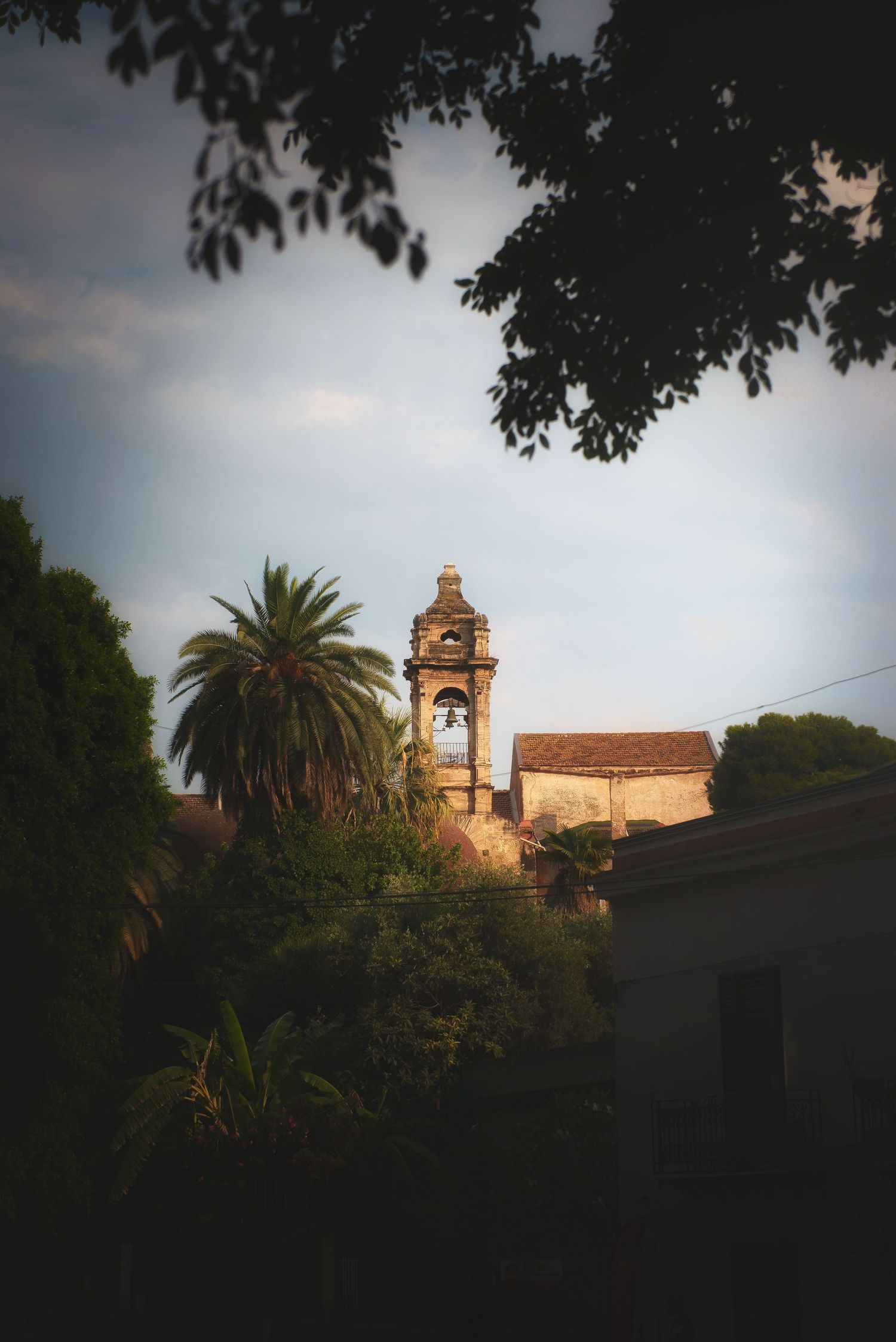 Historic church bell tower and palm trees in Palermo, Sicily, Italy, framed by dark foliage.