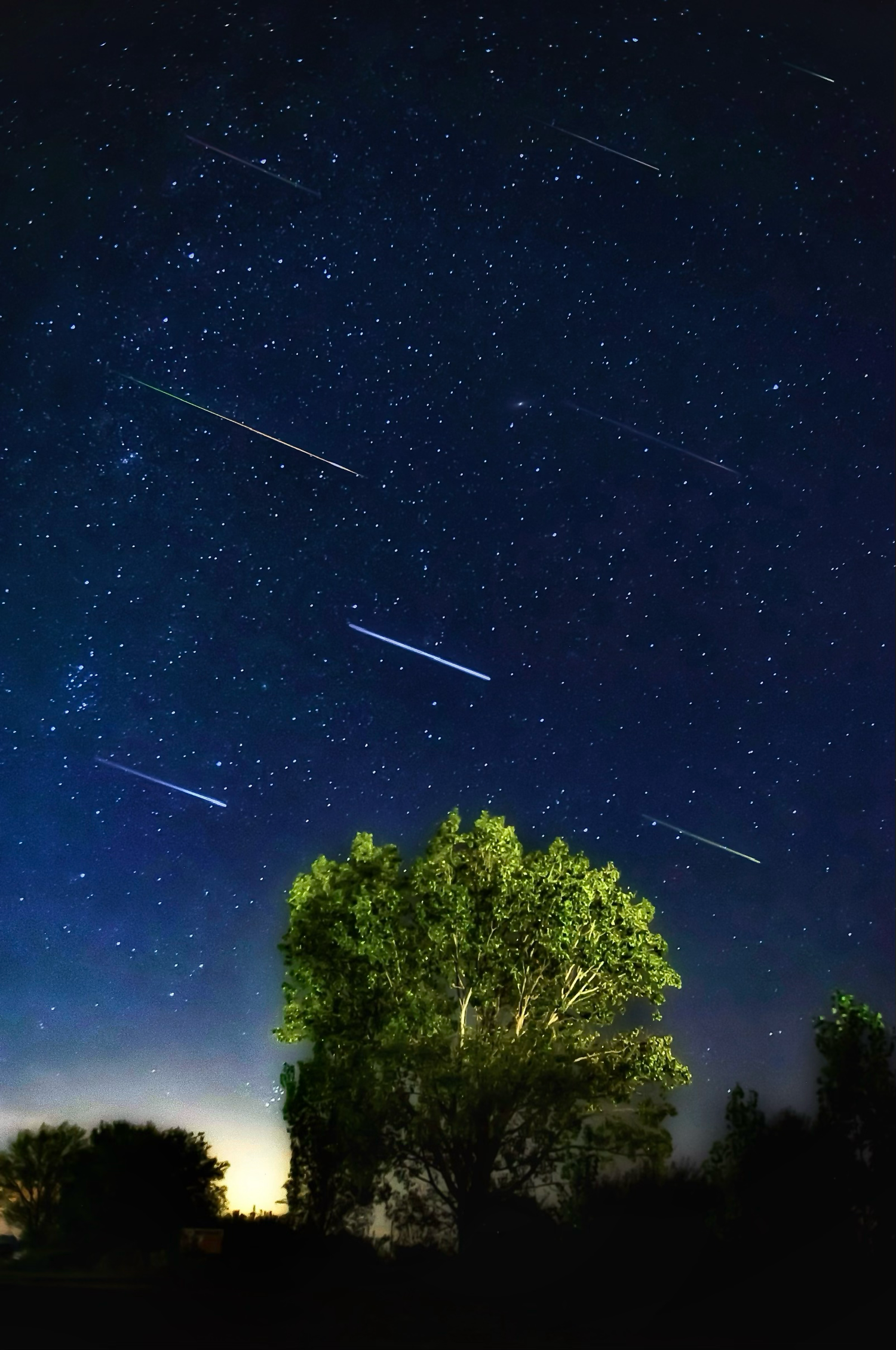 Perseid meteor shower in August, showing multiple shooting stars streaking above an illuminated tree.