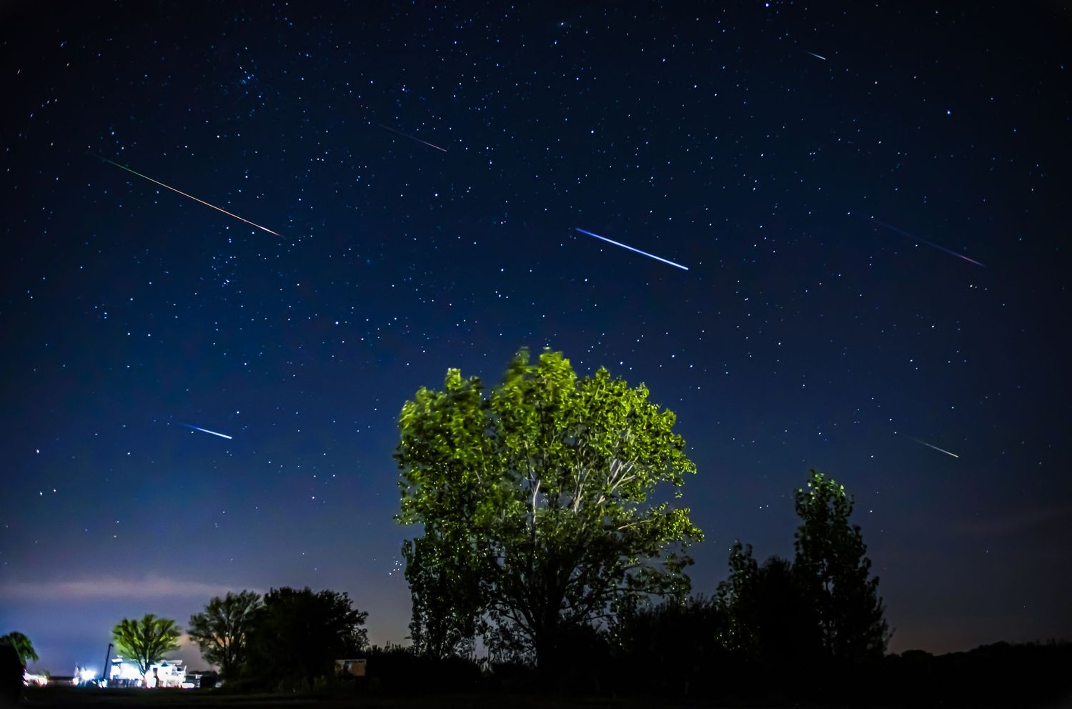 Night sky capture of the Perseid meteor shower in August, showing multiple shooting stars streaking above a illuminated tree.