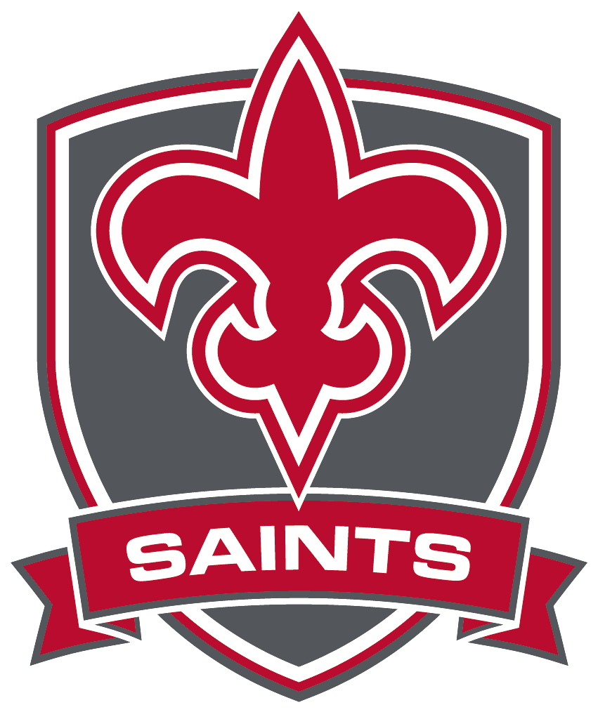 New Orleans Saints sports logo with red fleur-de-lis symbol on grey shield background.
