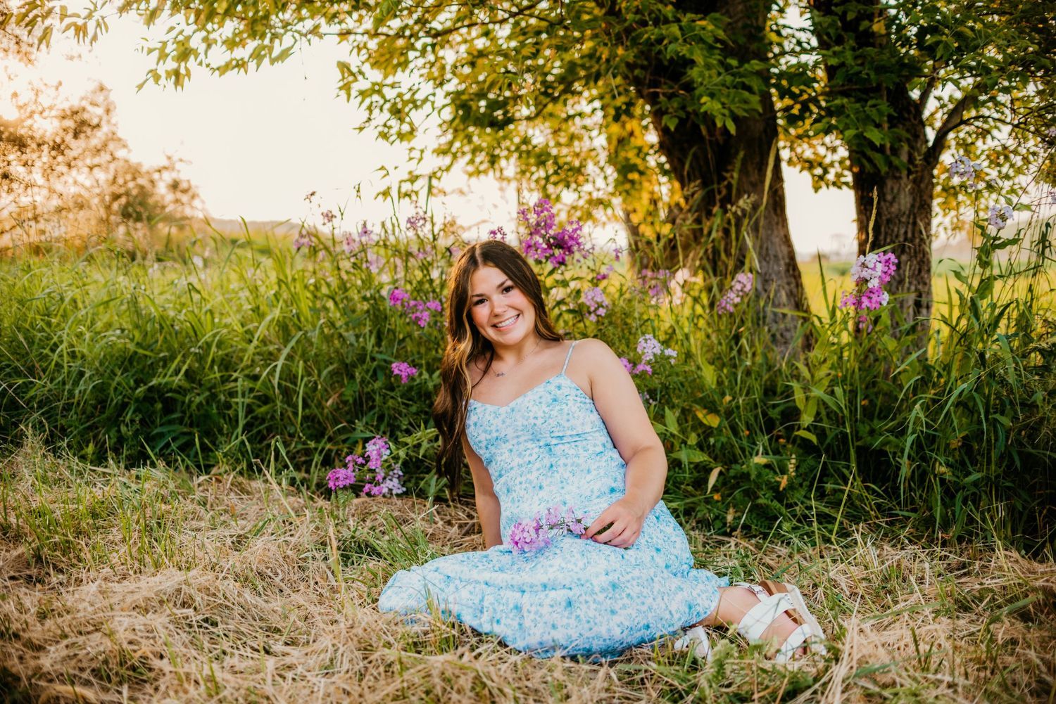 A person in a light blue dress sits in a sunlit meadow with wildflowers and trees in the background.