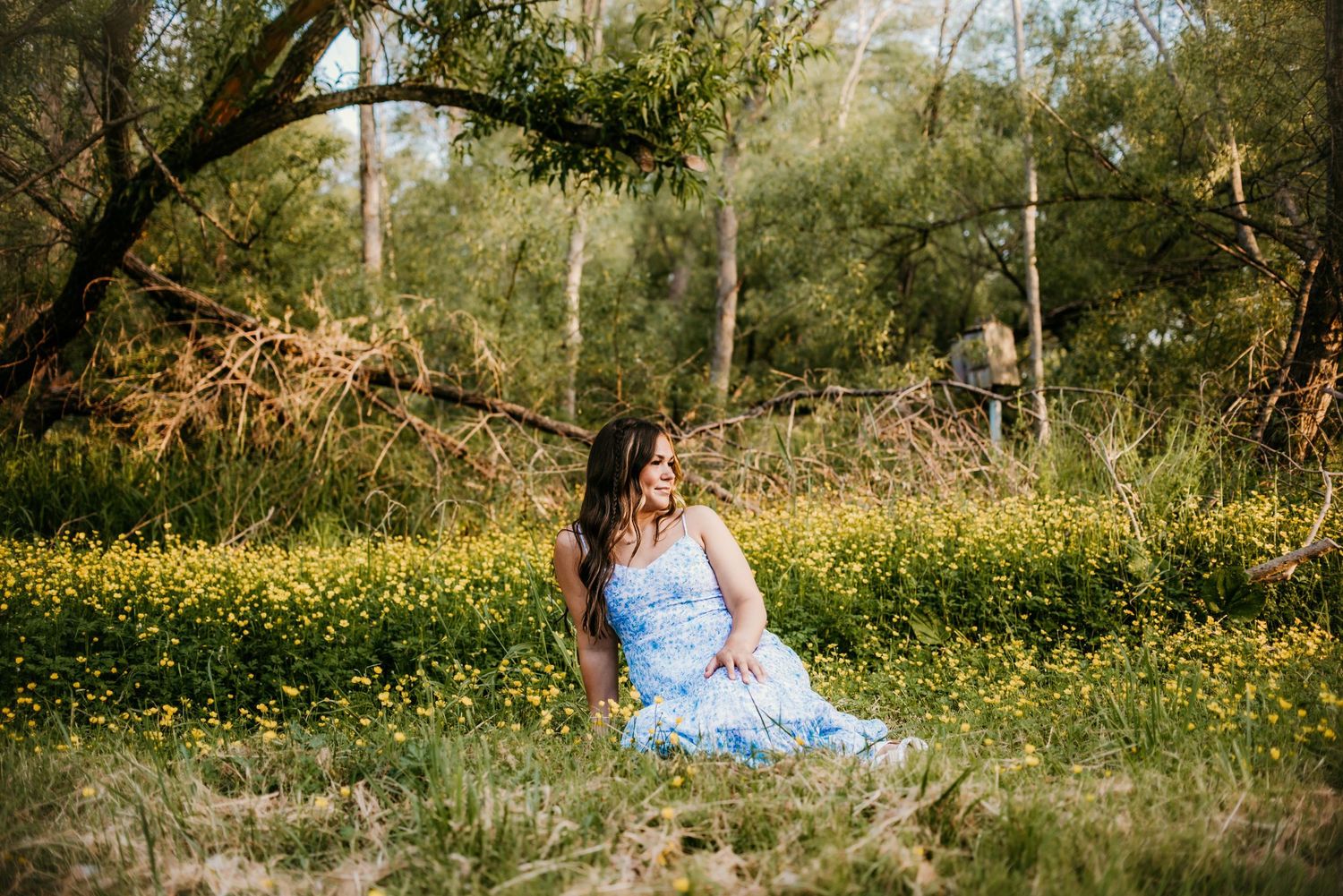 A person in a blue dress sits surrounded by yellow wildflowers in a natural setting.