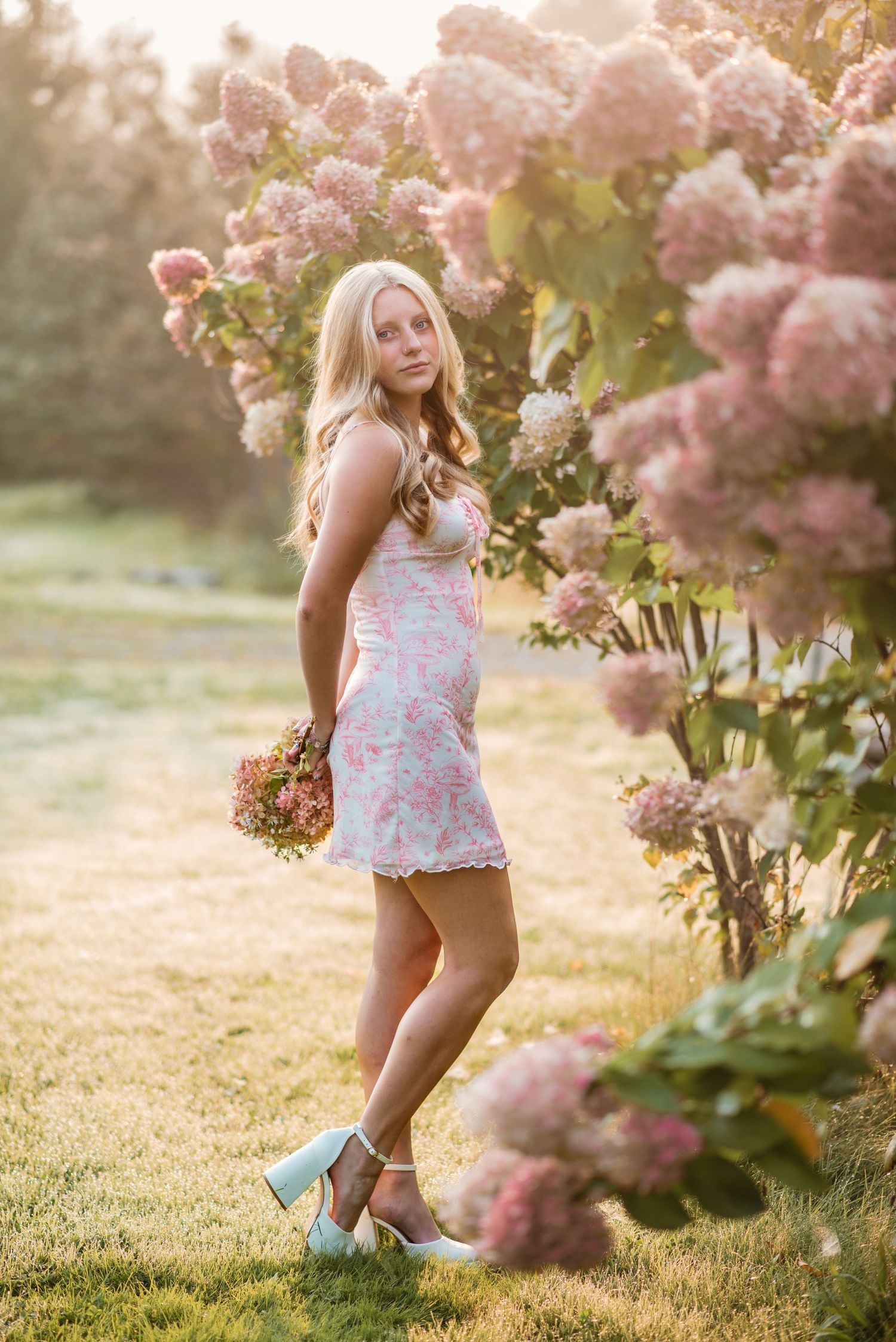 Romantic garden portrait with pink hydrangeas in soft evening light.