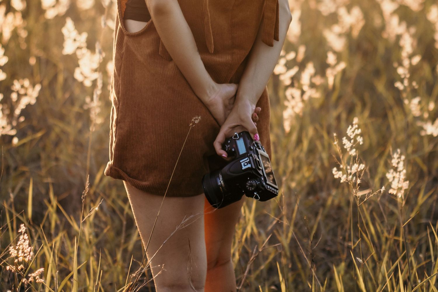 Golden sunlit field with tall grass and camera equipment in focus.