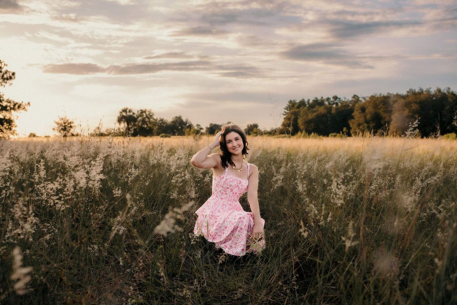 Romantic meadow scene at dusk with tall grass and moody sky.
