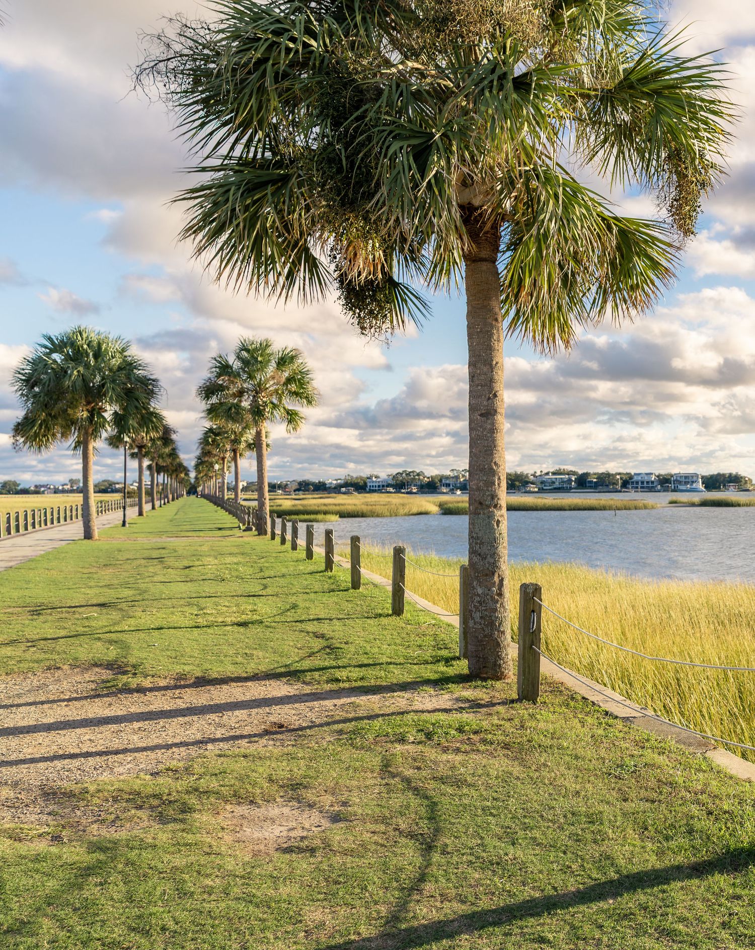 Palmetto palm trees line a grassy waterfront park path beside tall marsh grass and calm water under a blue sky with soft clouds.