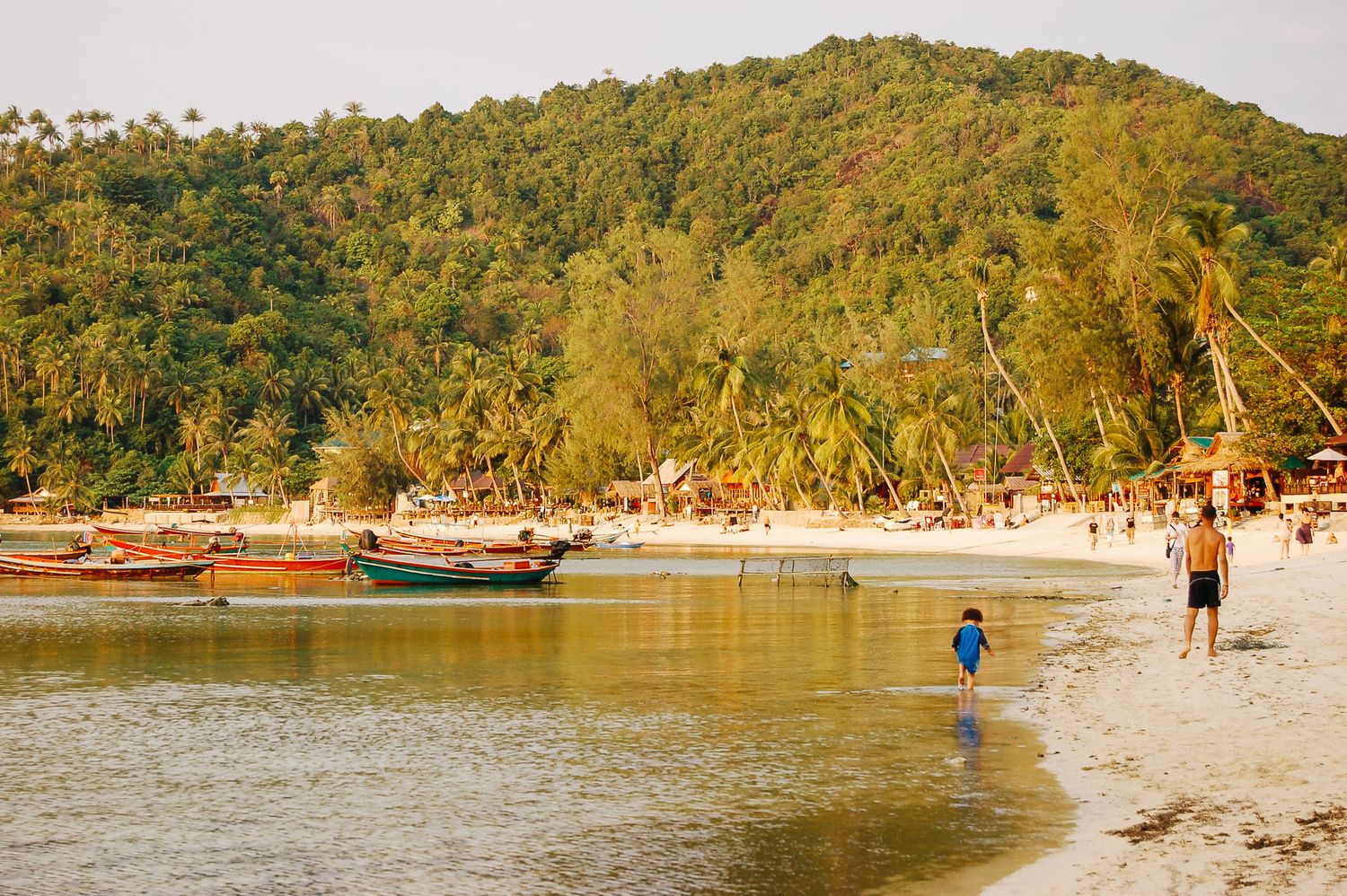 Tropical beach with longtail boats and palm trees along the shoreline.