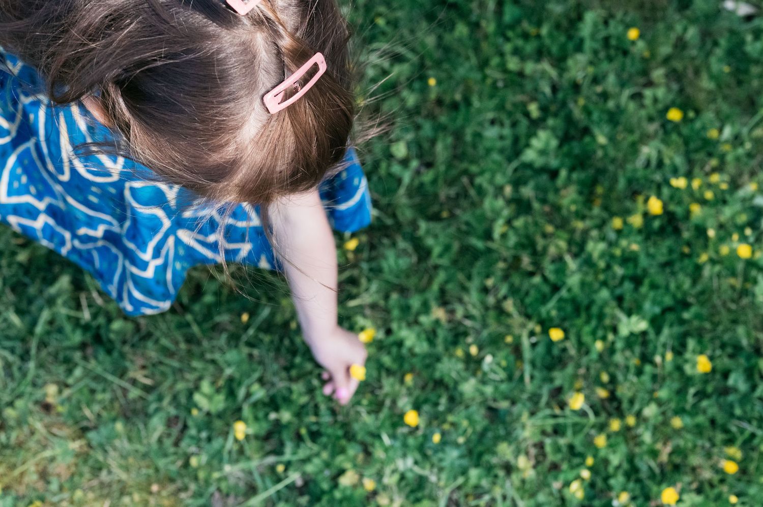 A sequence of playful movements captured in a grassy outdoor setting.