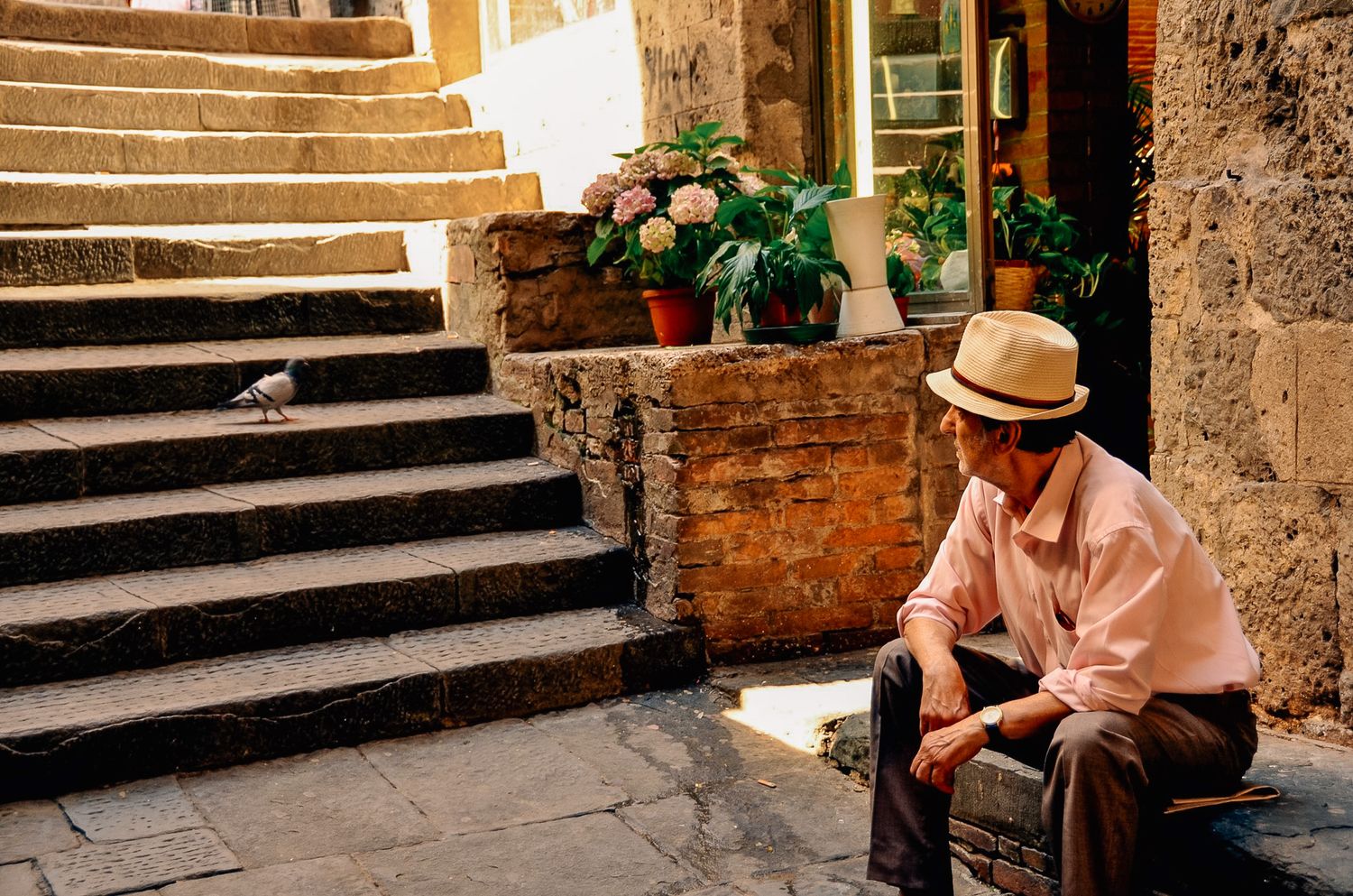 Stone stairway with potted plants and rustic Mediterranean architecture.