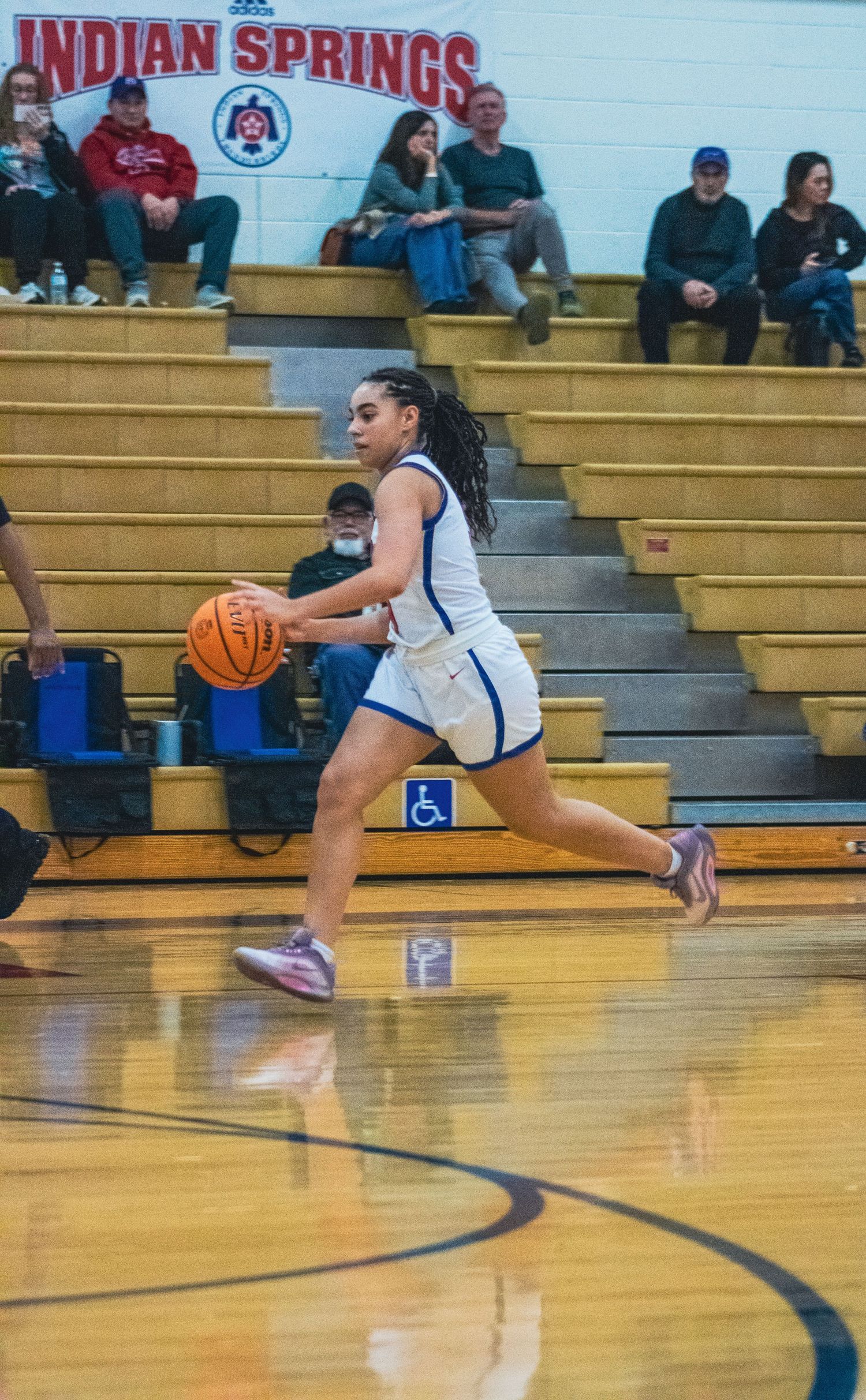 basketball-mia