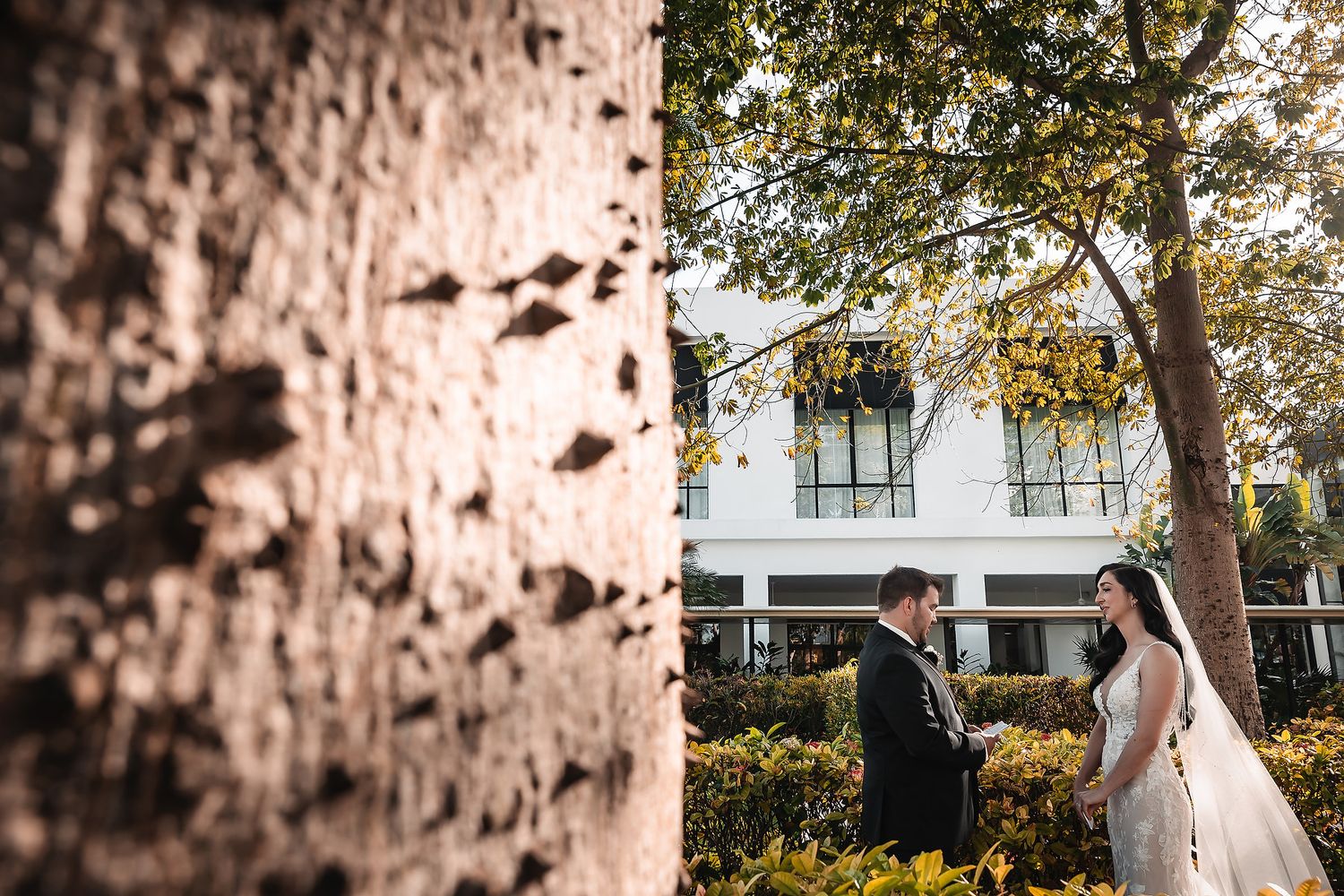 A couple walks along a tree-lined path during golden hour at their autumn wedding celebration.
