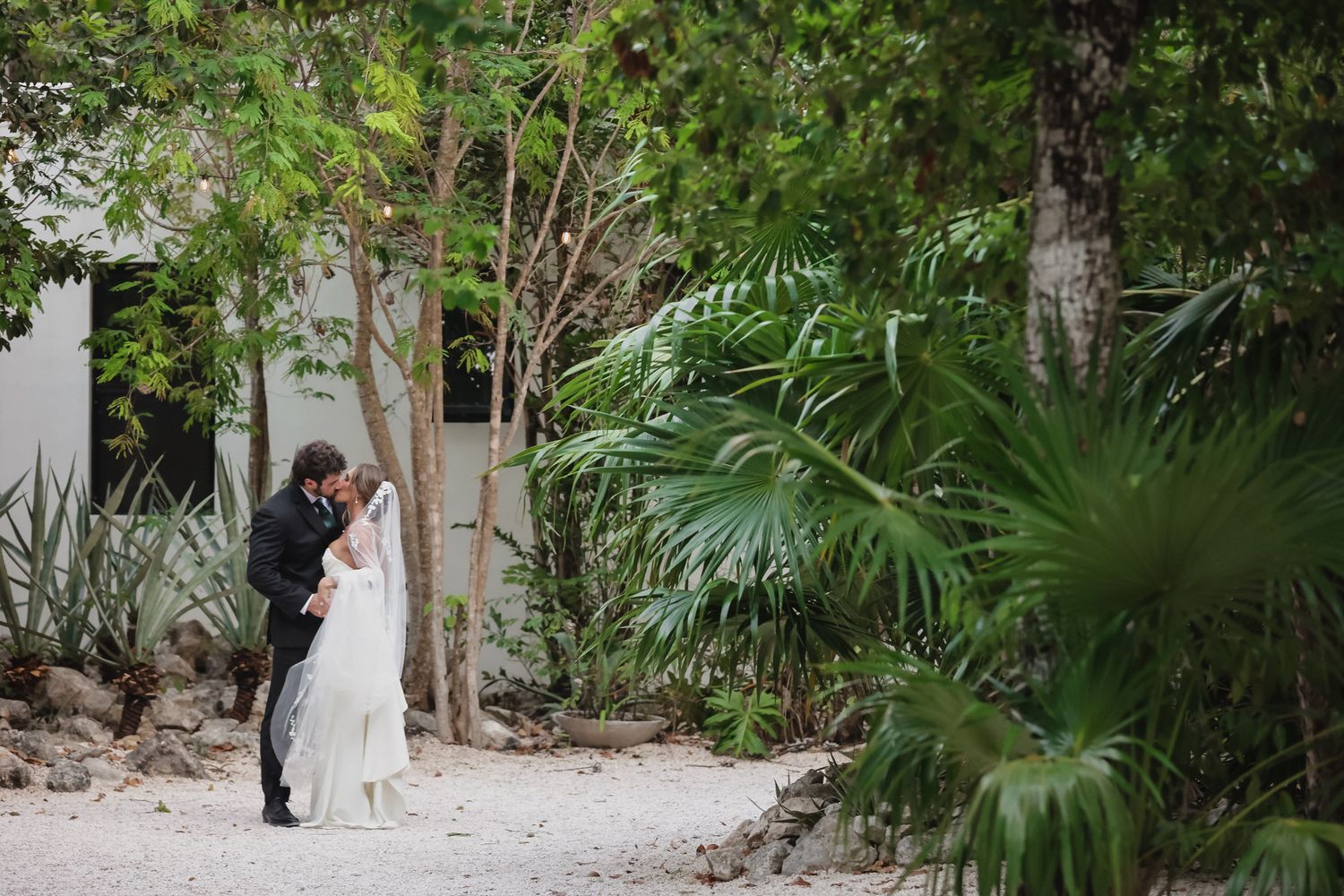Bride and groom share a romantic kiss surrounded by lush tropical greenery on a sandy path at an outdoor wedding.