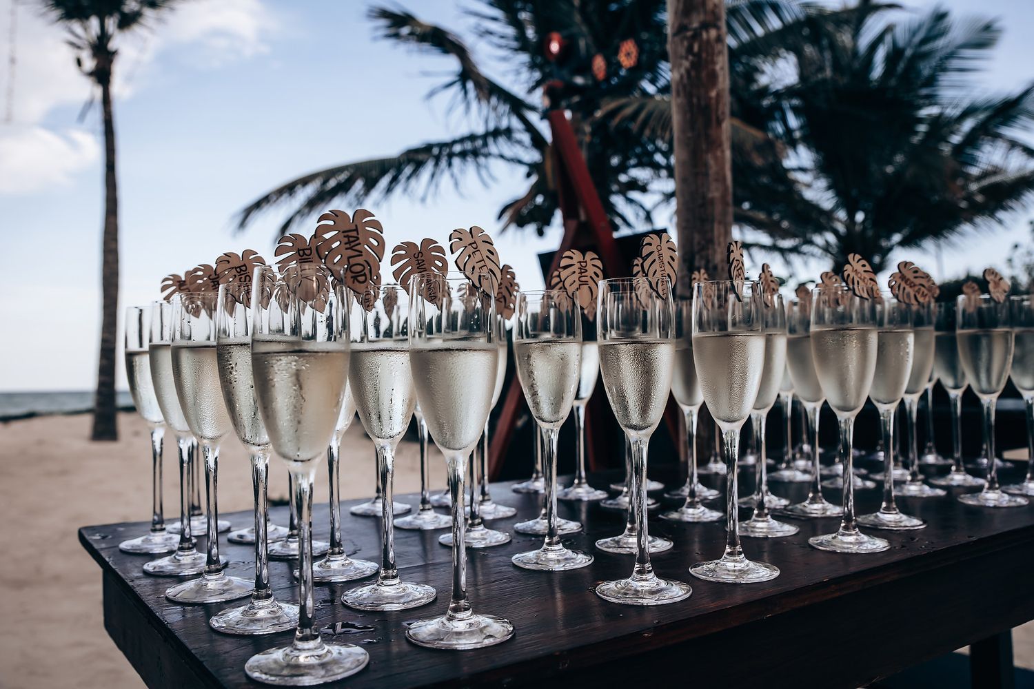 Row of champagne glasses lined up at an outdoor tropical wedding reception.