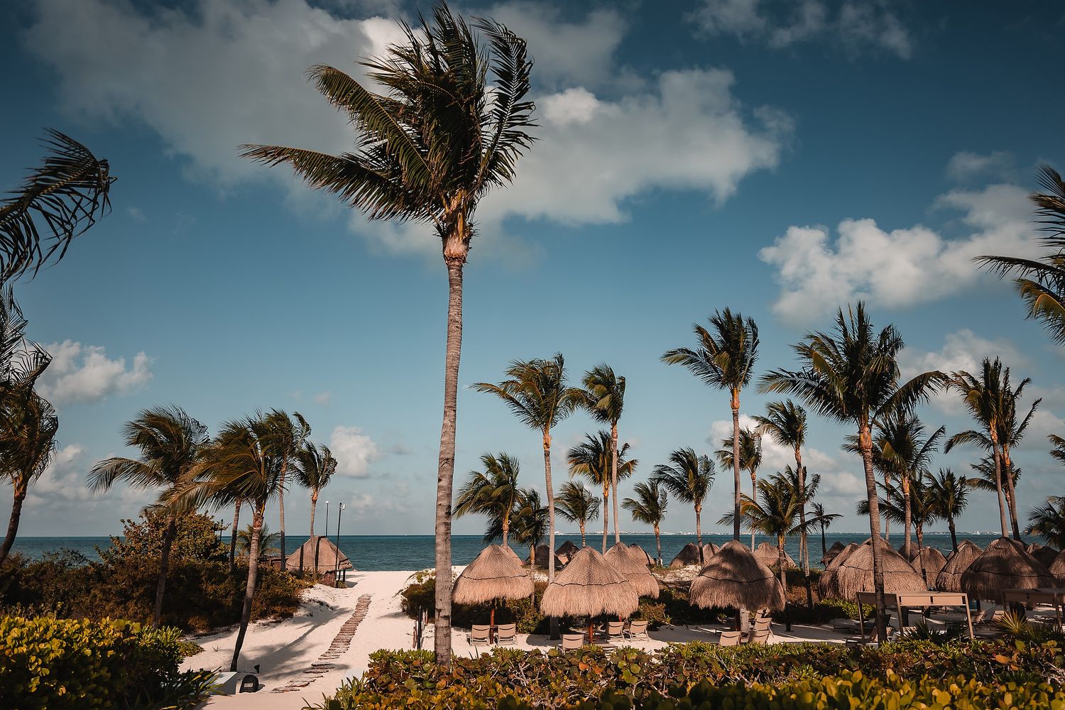 Tropical beach resort with tall palm trees swaying in the wind, thatched bungalows, and a stunning turquoise ocean view.