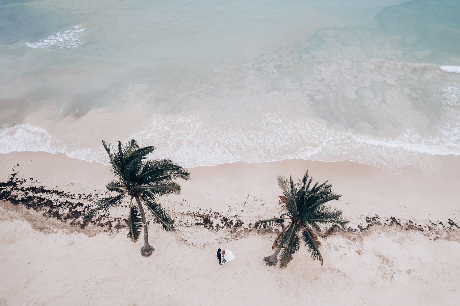Aerial view of tropical beach shoreline with palm trees and turquoise waters.