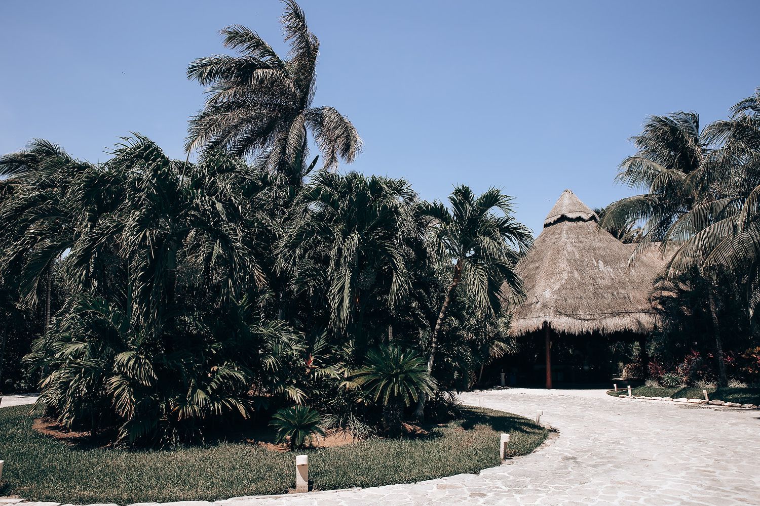 A thatched-roof tropical resort building surrounded by swaying palm trees and a winding pathway.