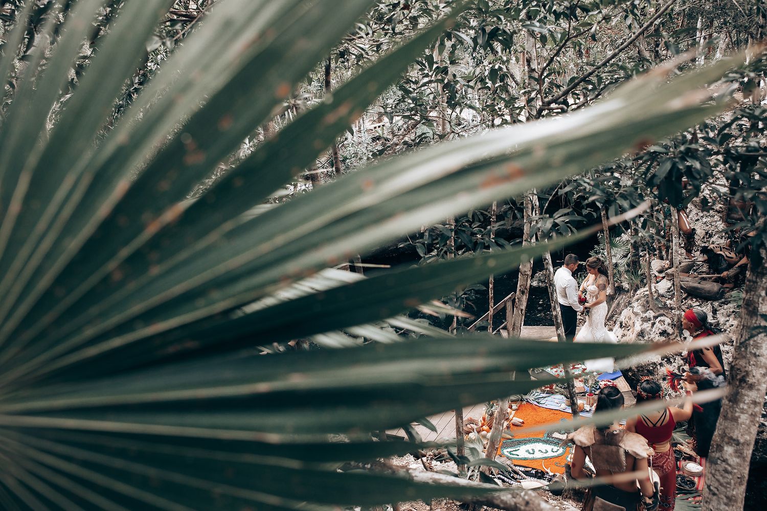 Palm fronds frame an outdoor garden party scene with string lights and natural decor.