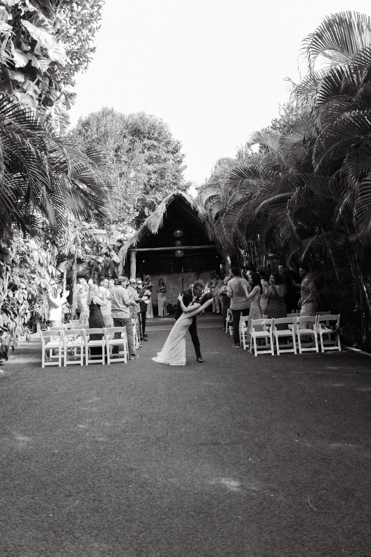 Black and white photo of bride and groom dipping kiss while guests cheer along palm tree lined aisle.