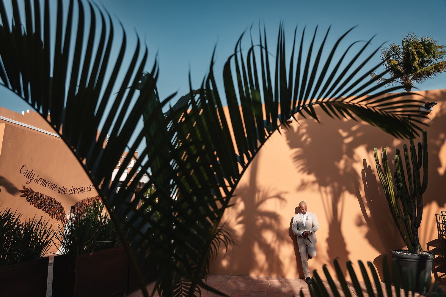 Palm fronds cast dramatic shadows against a peach wall under blue sky.