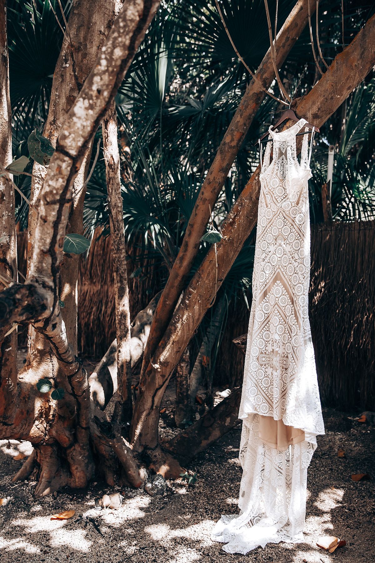White lace wedding dress hanging among tropical trees in natural lighting.