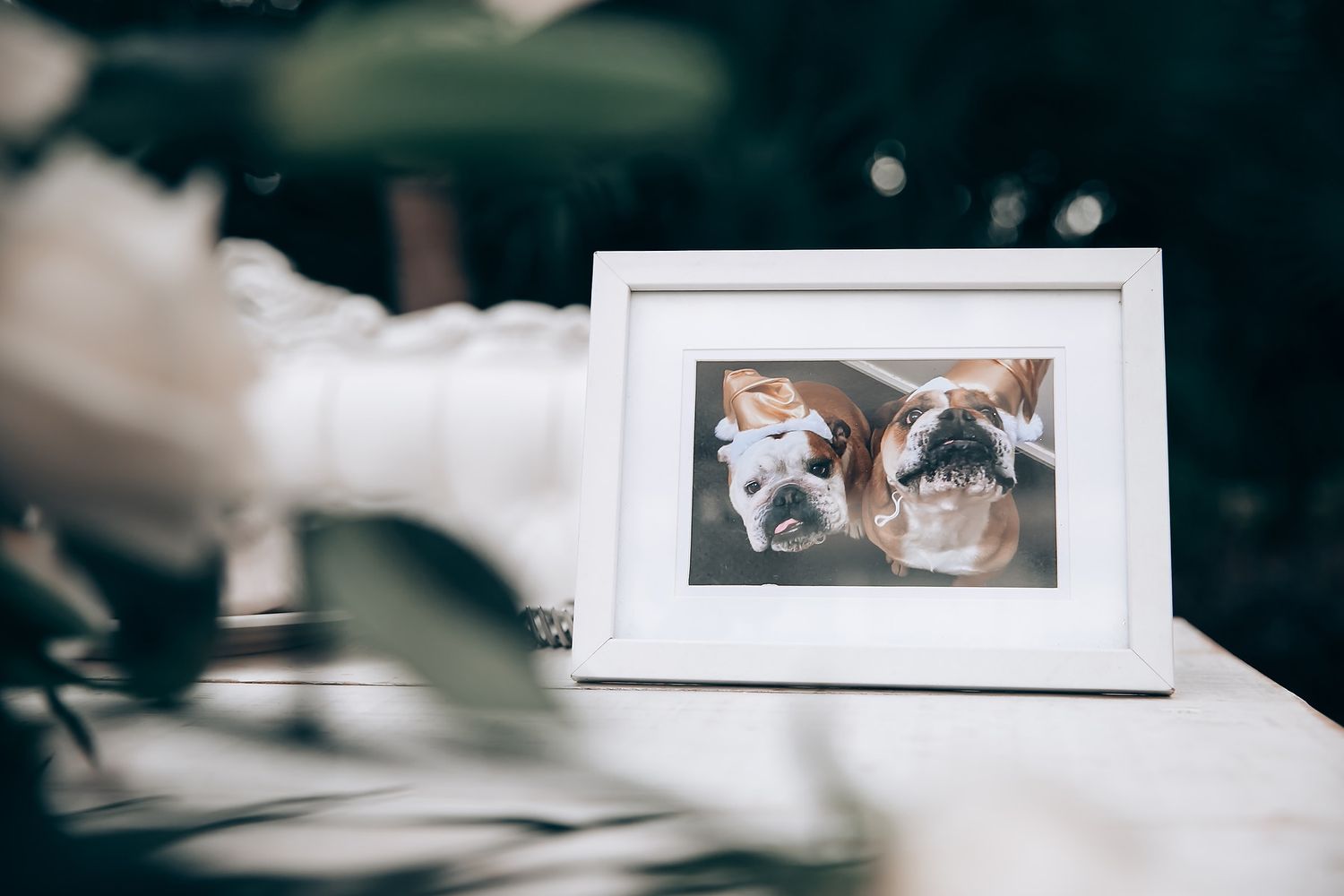 Framed wedding photographs displayed on white table at reception.