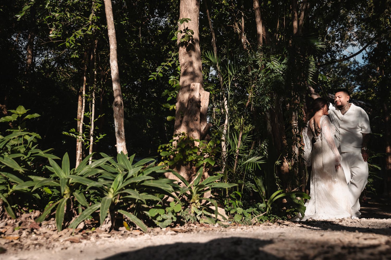 Natural woodland setting with sunlight peeking through dense forest canopy.