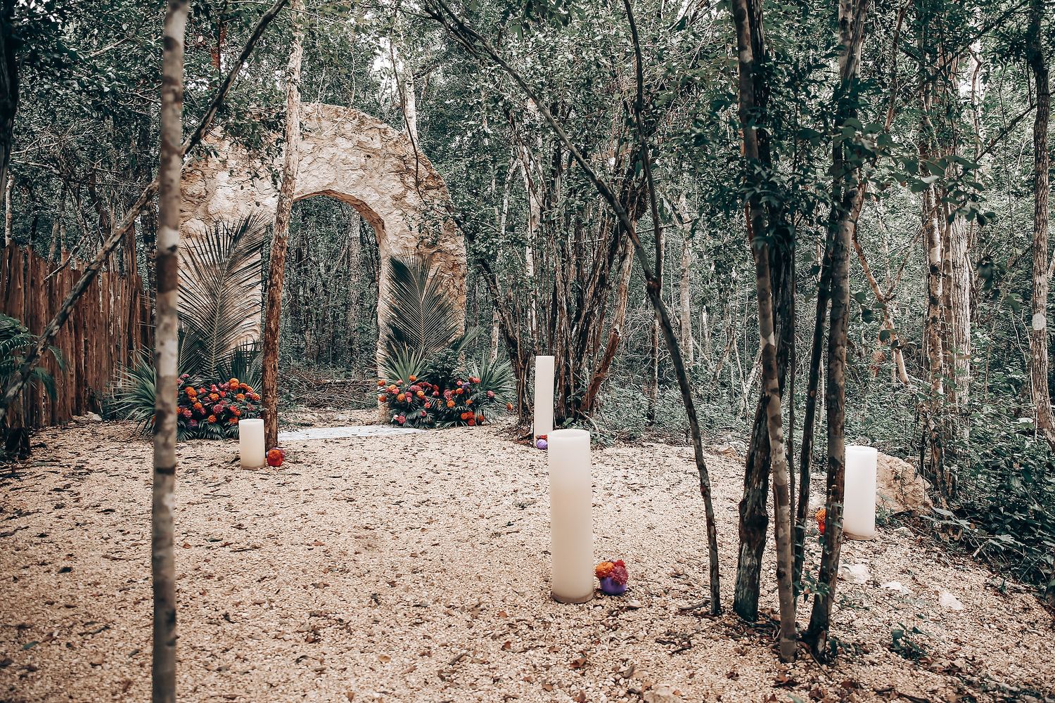 A winding dirt path leads through a serene forest with tall trees and scattered wooden trail markers.
