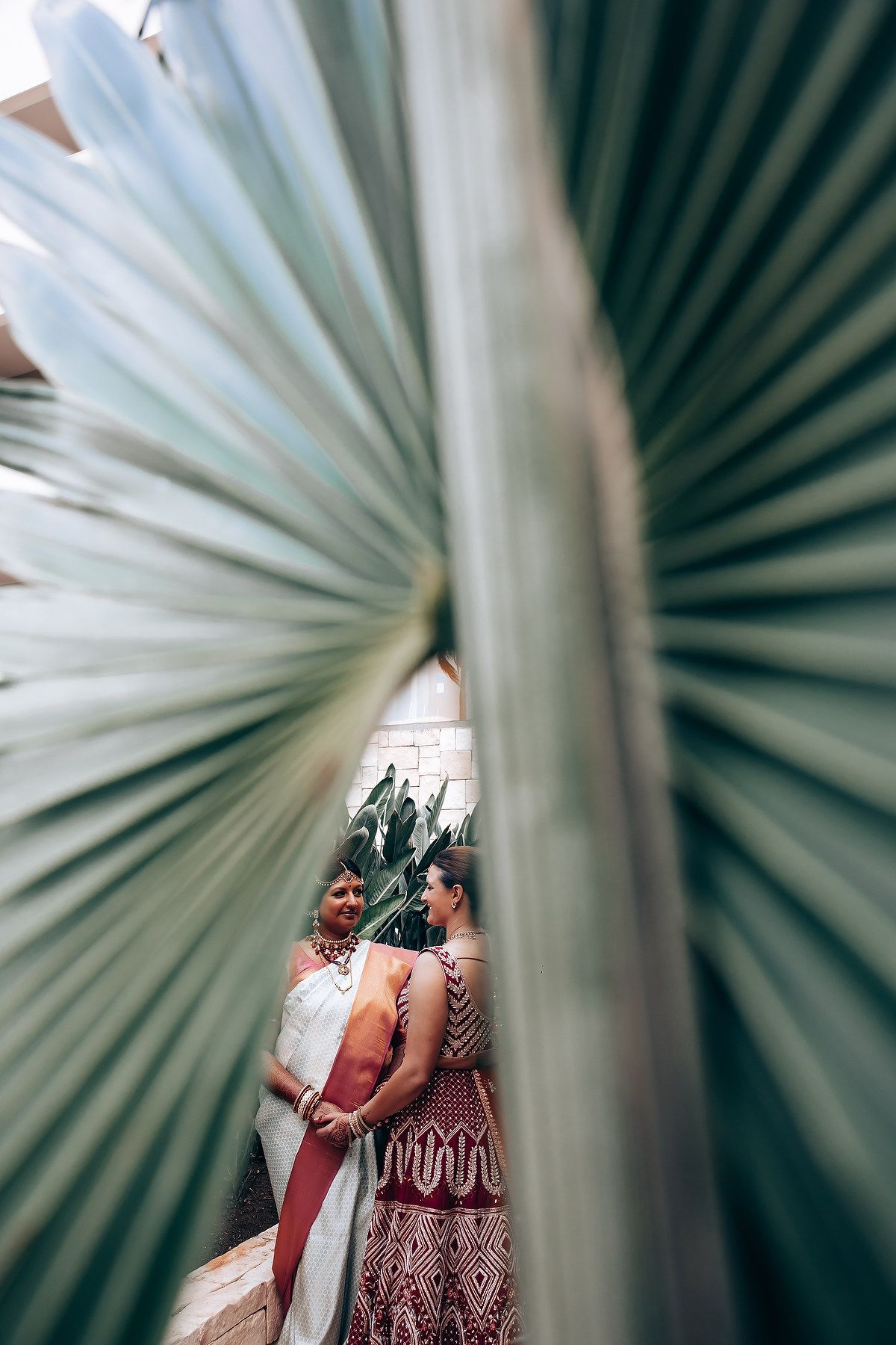Creative wedding photography shot through large palm leaves creating a natural frame.