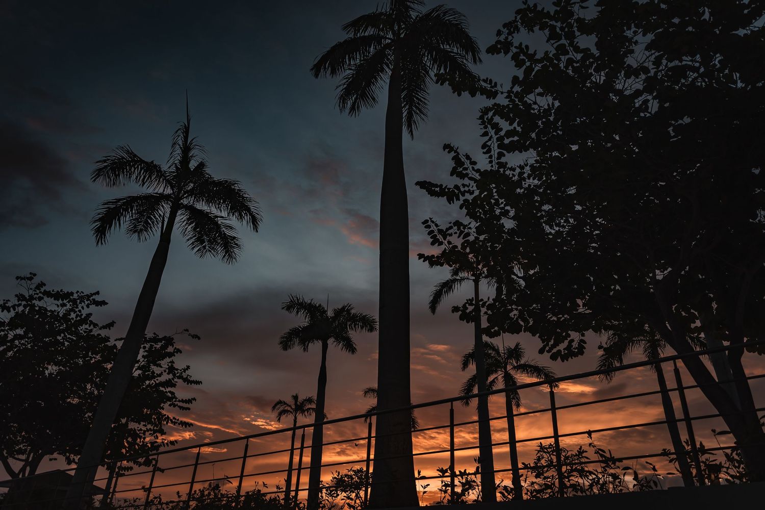 Palm trees silhouetted against a dramatic sunset sky create a tropical ambiance.